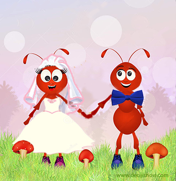 Pesmica - Ženidba jednog mrava